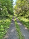 IMG_5589.jpeg