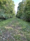 IMG_5588.jpeg