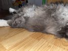 IMG_0120.jpeg