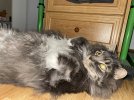IMG_0119.jpeg