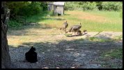 IMG_7333.jpeg
