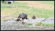IMG_7376.jpeg