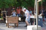 DSC01249-vi.jpg