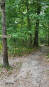 20210914_121306-E14-DDS.jpg