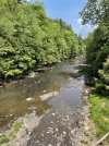 IMG_5604.jpeg