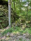 IMG_5596.jpeg