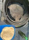 IMG_0408.jpeg