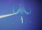 giantsquid.jpg