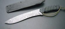 kiku3.jpg