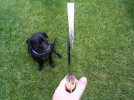 R-1 Stick Knife head on.jpg