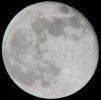 moon over miami.jpg