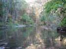 river 008.jpg