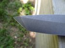 DSC01166.JPG
