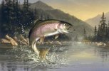 rainbowtrout.jpg
