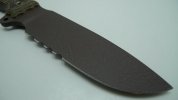 BUSSE_SFNO_VARIANT_(pic-2)_20130619.0.jpg BUSSE_SFNO_VARIANT_(pic-2)_20130619.0.jpg
