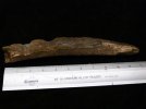 fwi 2 (3).jpg