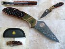 Delica Sprint.jpg