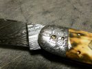sunfish forge scrim (3).jpg