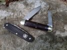 i-CRDwSvG-X4.jpg