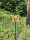 IMG_5626.jpeg
