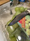IMG_3756.jpeg