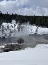 IMG_9244.jpg