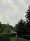 IMG_3418.jpeg