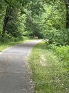 IMG_5636.jpeg