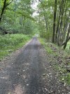 IMG_5650.jpeg