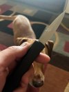 IMG_6016.jpeg