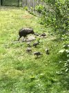 IMG_0757.jpeg