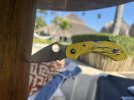 IMG_7798.jpeg
