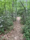 IMG_5667.jpeg