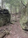 IMG_5669.jpeg