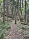 IMG_5673.jpeg