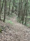 IMG_5671.jpeg