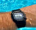 IMG_2260.jpeg