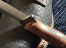 IMG_1435.jpeg