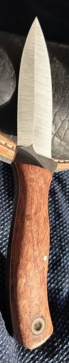 IMG_1423.jpeg
