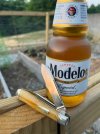 IMG_6222.jpeg