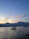 IMG_3929.jpeg