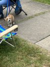 IMG_8676.jpeg