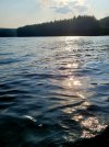 20230611_181831.jpg