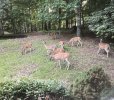 IMG-1308.jpg