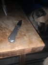 IMG_4400.jpeg