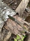 IMG_2770.jpeg