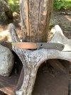 IMG_2802.jpeg