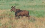 DSC_0007.JPG