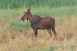 DSC_0013.JPG
