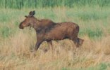 DSC_0015.JPG